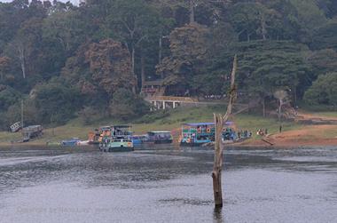 Periyar Lake N.P., ThekkadyDSC_7607_H600